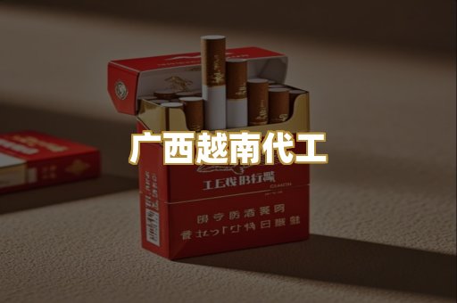 广西越南代工